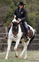 Rider
