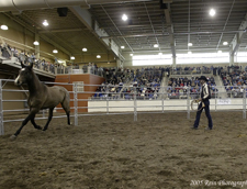 PA Horse World Expo