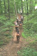 Trail Ride